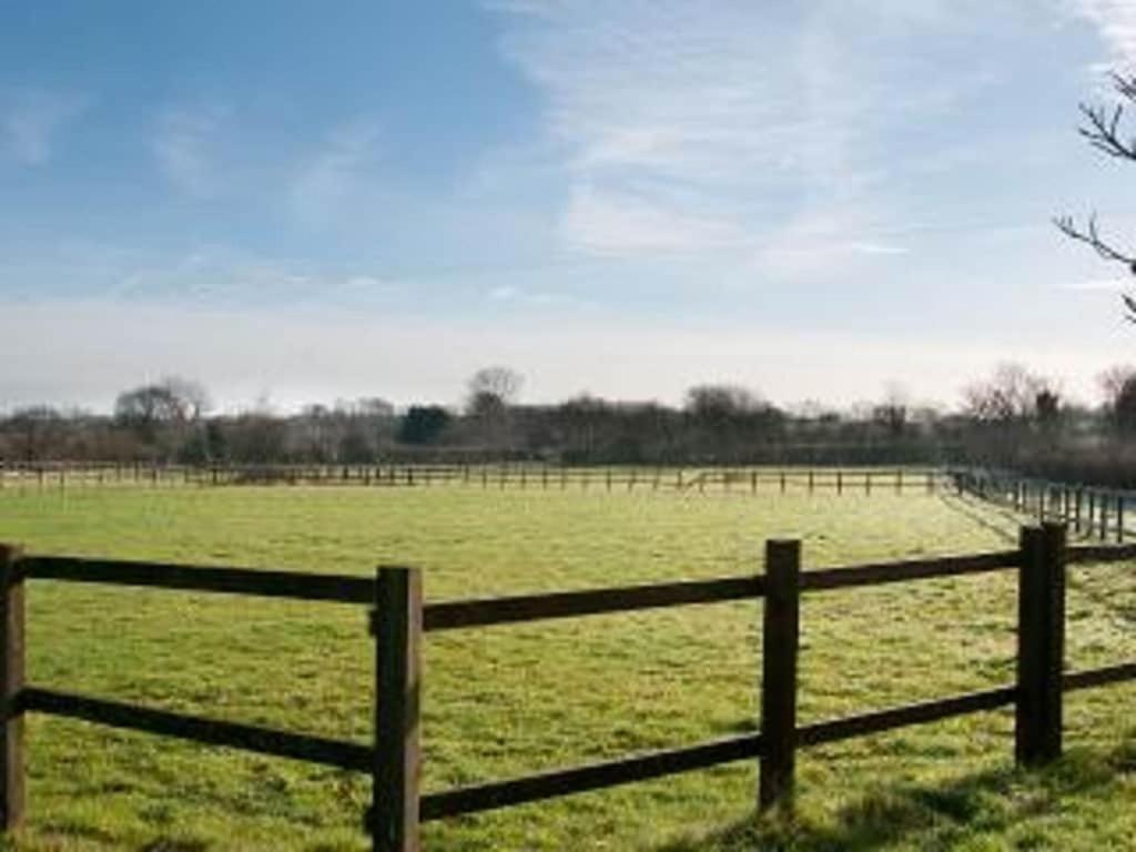 Owls Nest - Peace And Tranquility Near Woodbridge & Framlingham In Rural Suffolk Apartment ภายนอก รูปภาพ